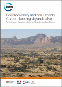 Soil biodiversity and soil organic carbon: keeping drylands alive